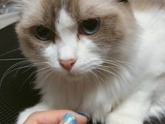 -Goku PET SHOP宠物视觉生活馆(双井店)