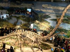 -自贡恐龙博物馆