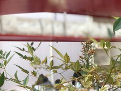 -UNIUNI(凯瑟琳广场店)