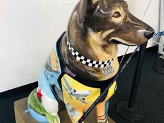 -奥黑尔国际机场