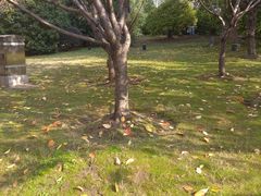 -苏州河梦清园环保主题公园