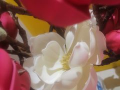 -西贝莜面村(金隅嘉品mall店)