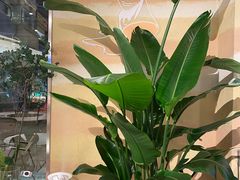 -迦南的早晨蛋糕甜品集合店
