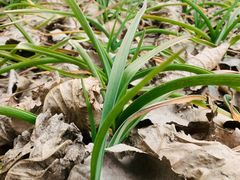 -济南轻骑摩托车有限公司(和平路)