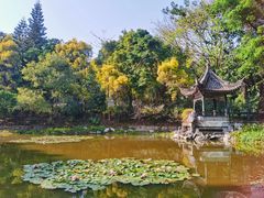 -深圳国际园林花卉博览园