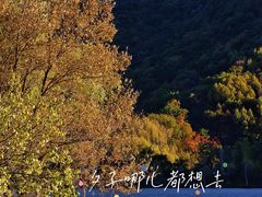 -玉渡山自然风景区
