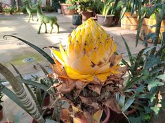 -国家植物园南园