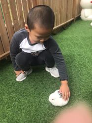 -萌宠亲子动物乐园(槐房万达店)