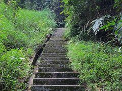 -广州市帽峰山景区