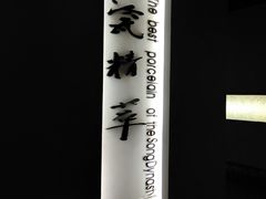 -四川宋瓷博物馆