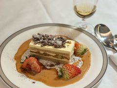 -新加坡航空公司(ION)