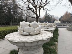 -木塔寺遗址生态公园