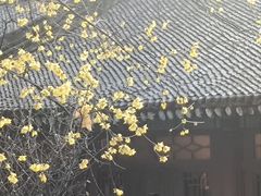 -天龙宝严素食馆(大兴善寺店)