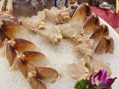 -东海怡品海鲜豆捞(星街坊店)