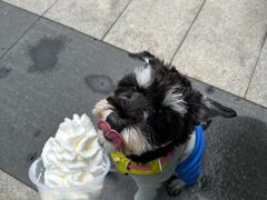 -星巴克(上海长宁来福士1F店)