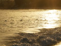 -西涌国际滨海旅游区