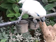 -南宫五洲植物乐园