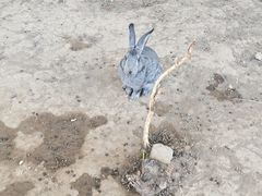 -有喜胶东小馆(太申祥和店)