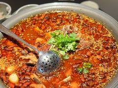 传统毛血旺-麻六记(深圳首店)