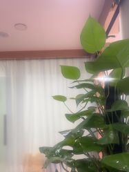 -武汉五洲整形外科医院