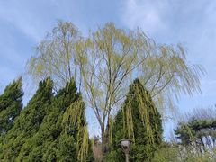 -元大都城垣遗址公园