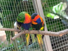 -大连森林动物园