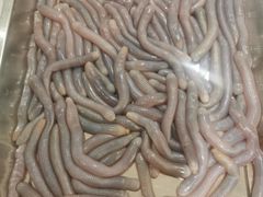 -御和宴·精品粤菜(天润御海湾店)