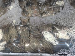 -小厨师·二十年沈家门小海鲜(百井坊巷店)
