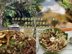 -西双版纳原始森林公园