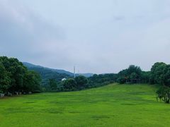 -雨花胜境
