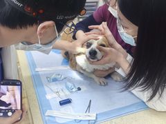 -美联众合动物医院·24h转诊中心
