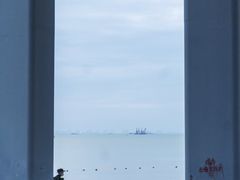 -宝安西湾红树林湿地公园