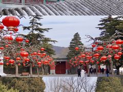 -香山公园