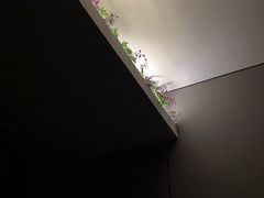 -迈格笙SPA·影院式足道·采耳(金桥店)