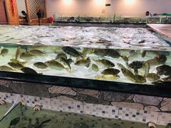 -沙田台山海鲜·酣客酒窖