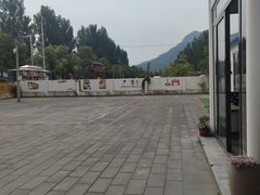 -Sultan pakistan苏单巴基斯坦