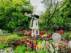 -上海共青森林公园