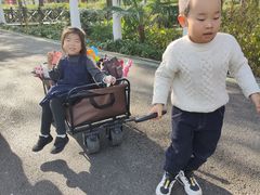 -合肥滨湖国家森林公园