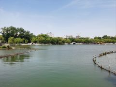 -济南大明湖景区