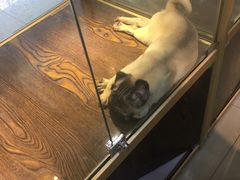 -乐宠宠物店(世纪金源店)