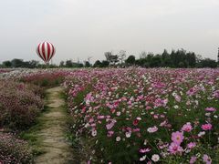 -歌斐颂巧克力小镇