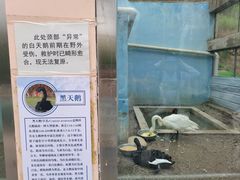 -青藏高原野生动物园