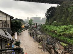 -大渡口区义渡公园