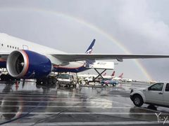 -约翰·菲茨杰拉德·肯尼迪国际机场