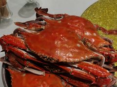 -和源祥·日照菜扛把子(万平口一店)