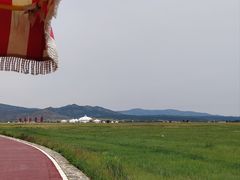-敕勒川草原