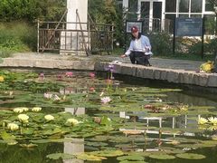 -国家植物园南园