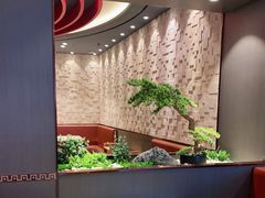 -蝎王府羊蝎子(西直门店)