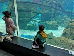 -锦艺城海洋馆