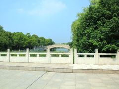 -溱湖国家湿地公园